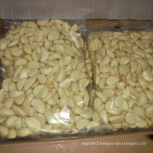 China White Fresh Peeled Garlic Price 1KG Vacuum Bag